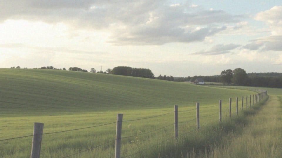Czy sierpień będzie spokojniejszy niż lipiec?