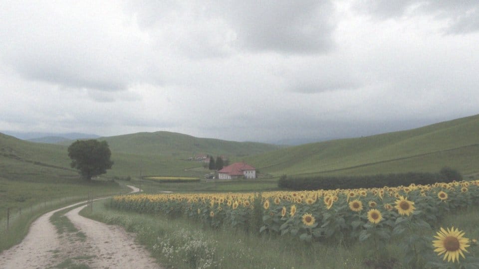 Ile dni deszczowych przypada w lipcu w Bułgarii?