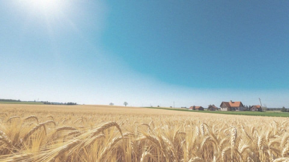 W jakich terminach wystąpią najbliższe upały w Polsce?