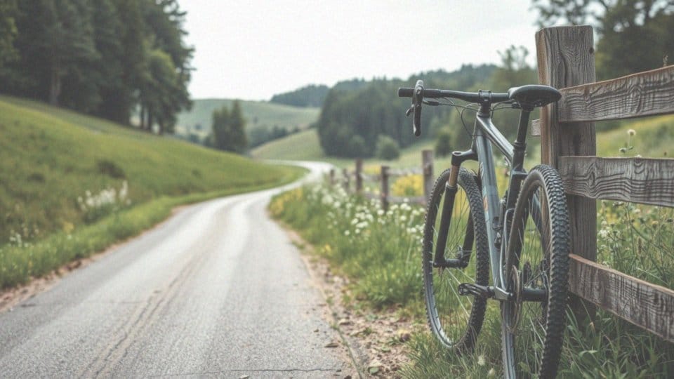 Jak przerzutki ułatwiają jazdę na rowerze?