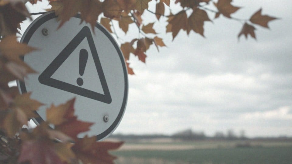 Ile czasu na zgłoszenie szkody AC? Sprawdź terminy i zasady