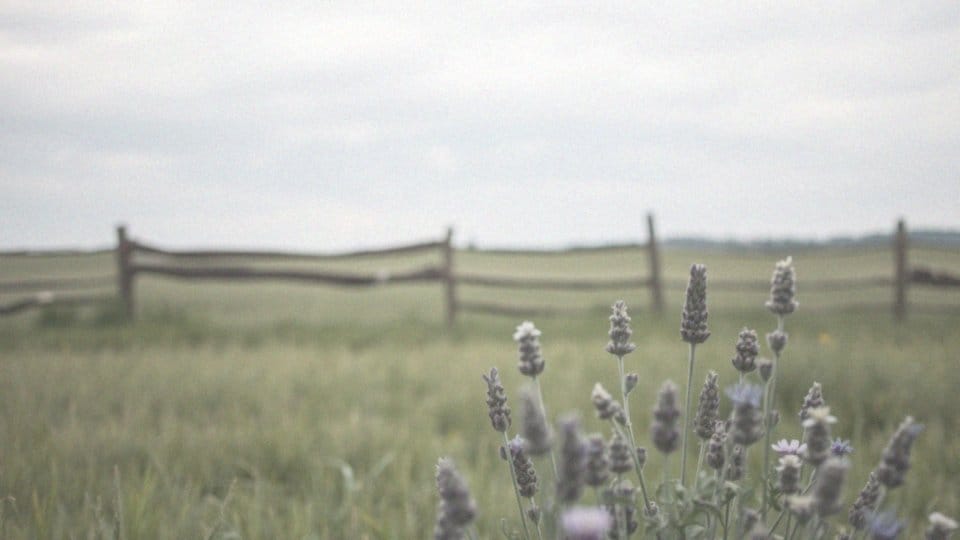 Kiedy minie kołatanie serca w menopauzie? Przyczyny i objawy