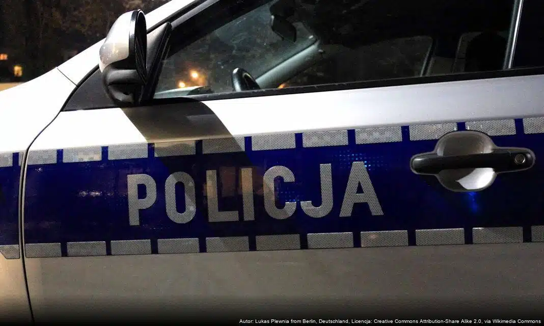 Akcja „Choinka 2025” w Pszczynie – policja kontroluje legalność choinek