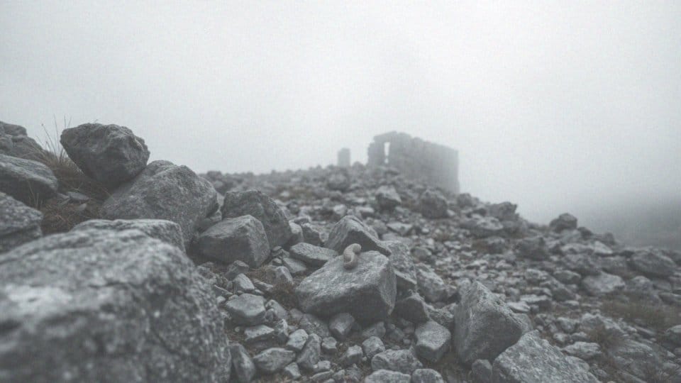 Plemię żmijowe – co to znaczy w kontekście biblijnym?