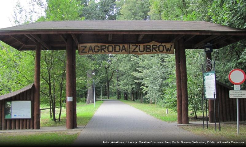 Pokazowa Zagroda Żubrów w Pszczynie