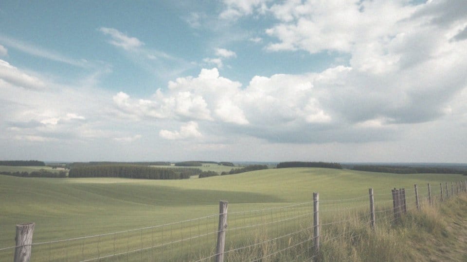 Sierpień pogoda długoterminowa – prognoza i co nas czeka