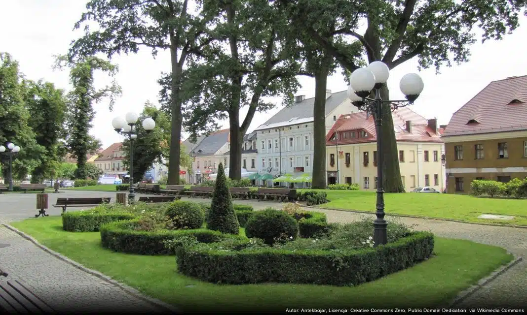 Wsparcie dla V Ogólnopolskiego Konkursu „Pszczyńskie Impresje Muzyczne”