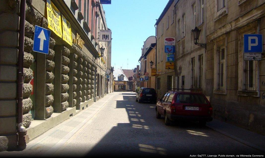 Zaproszenie na dyżur Ekodoradcy w Pszczynie